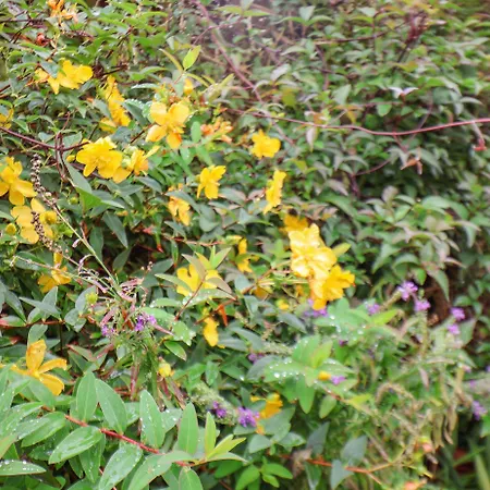 The Hillcrest Guest house 3*